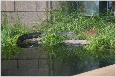 C'mon in mate, the water's fine.