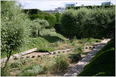 gardens