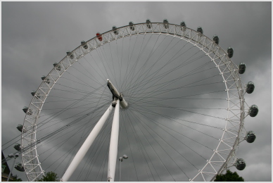 the Eye