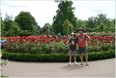 roses