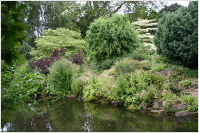 greenery