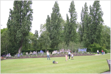 greenery