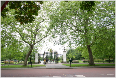 greenery & gate