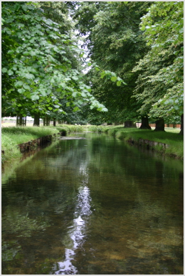 stream