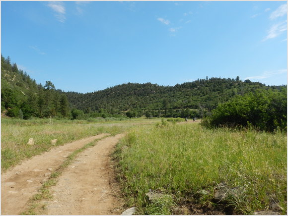 the road ahead