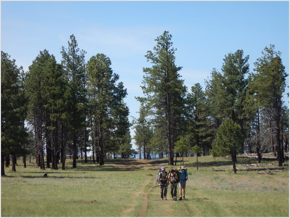 the trail looking back