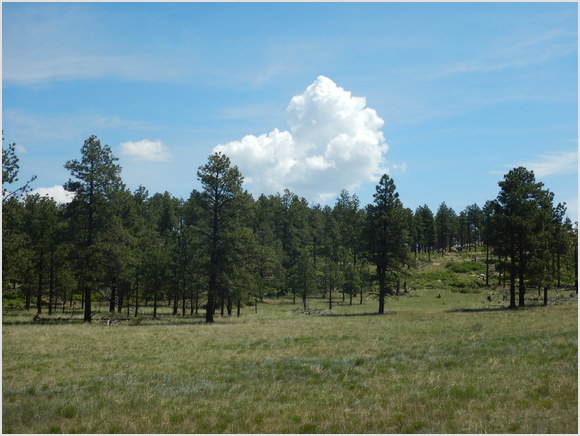 nice clouds