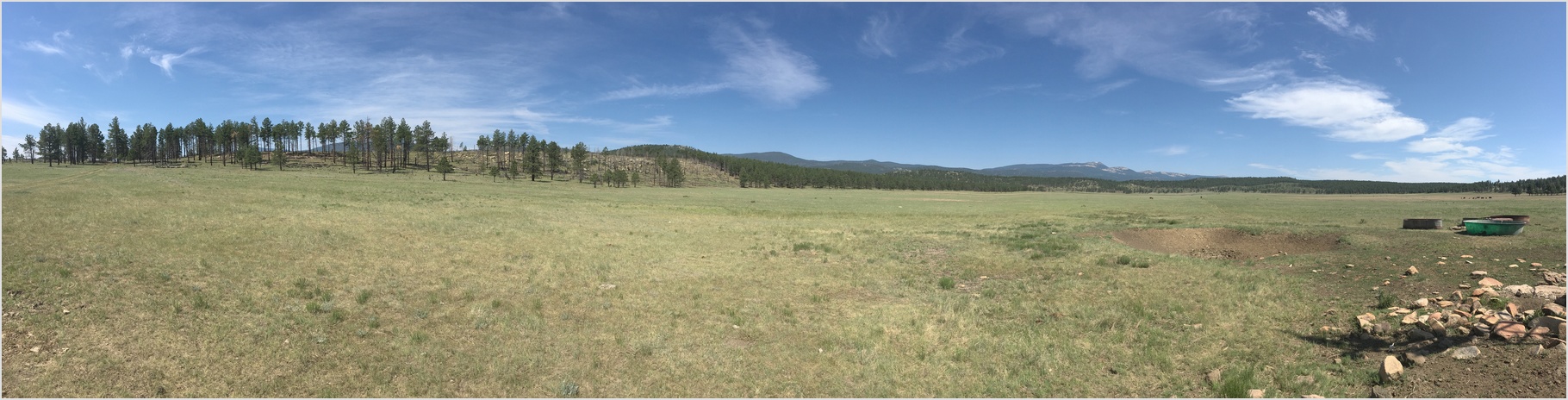 panoramic view of the morning meadow
