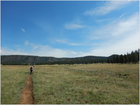 trail thru another meadow