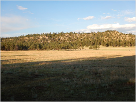 view from our camp to the main camp (partial zoom)