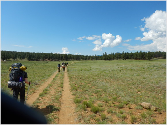 the trail ahead