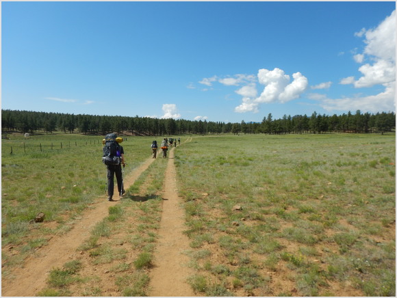 the trail ahead