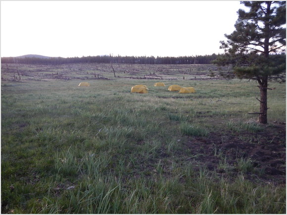 sunset over camp