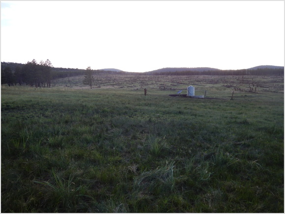 water hole just above camp