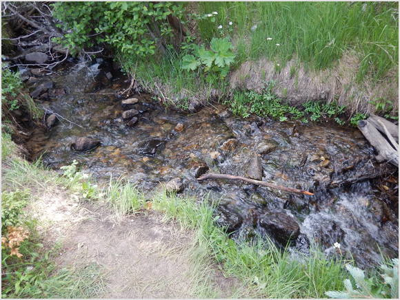 creek running thru camp (most of us soaked our feet)
