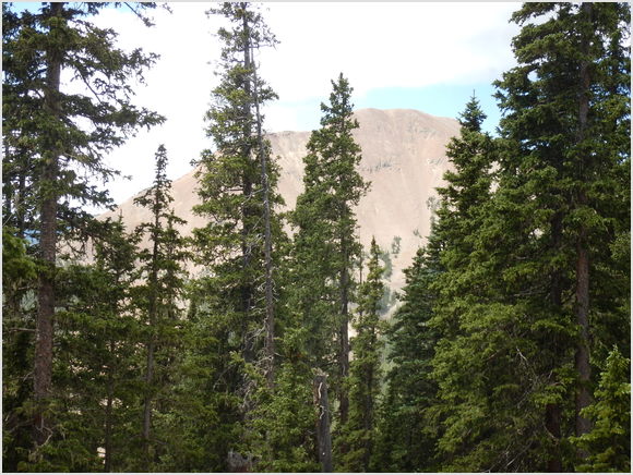 Mount Baldy thru the trees
