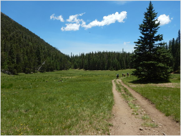 road around the meadow