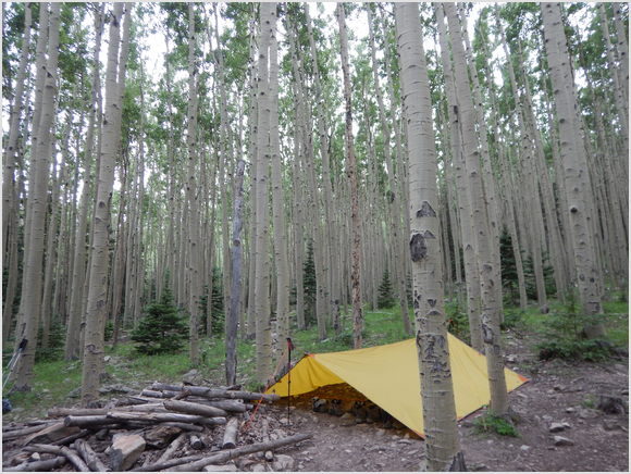 camp at Baldy Town