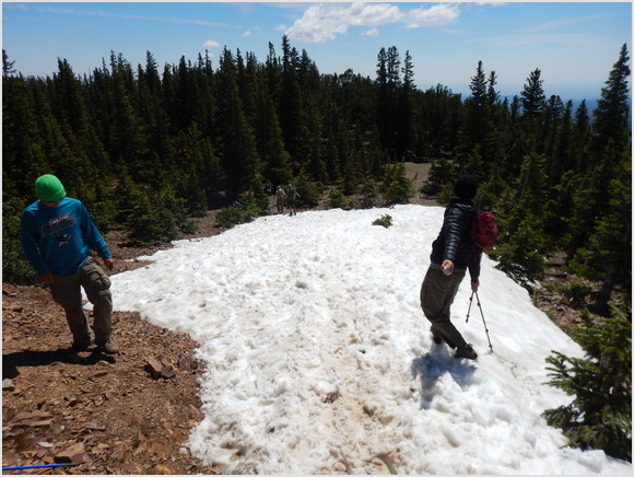 snowball fight