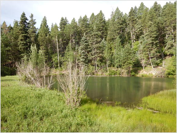 little lake