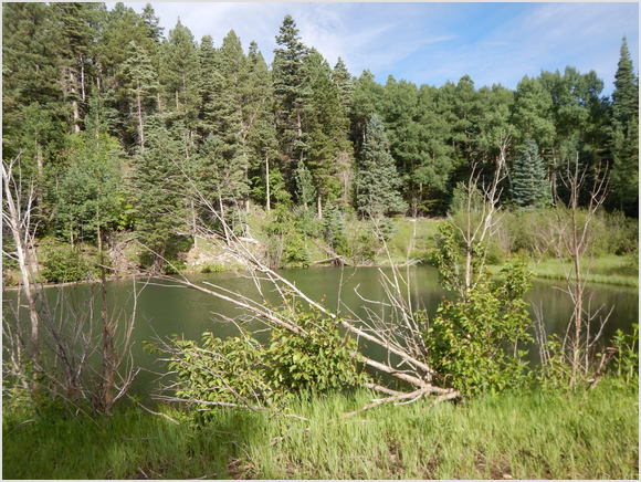 little lake
