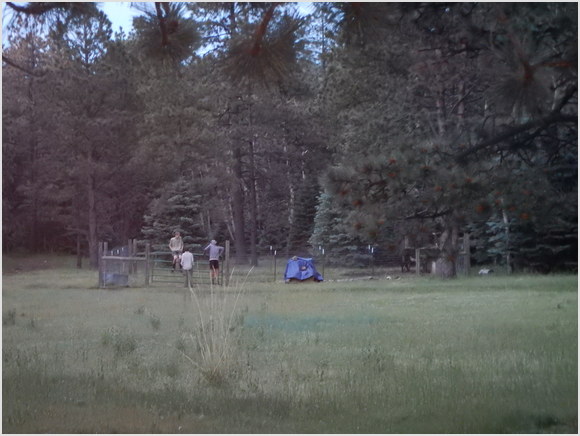 mule pen at Baldy Skyline