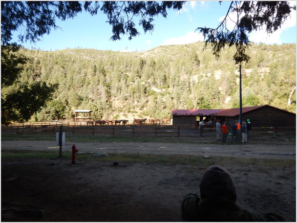stables