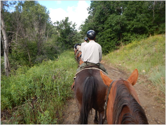 horse ride