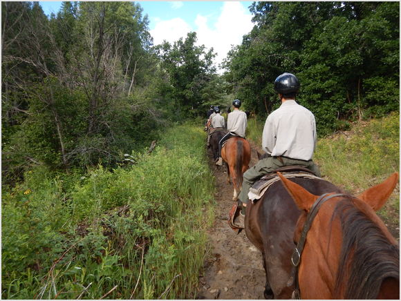 horse ride
