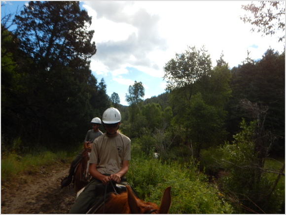 horse ride
