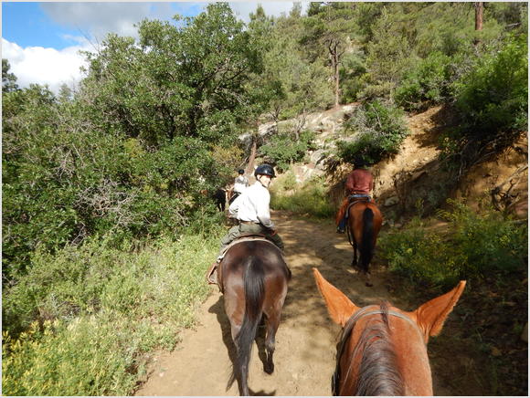 horse ride