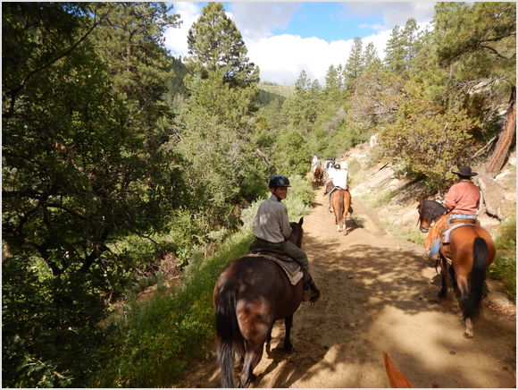 horse ride