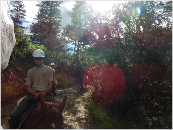 horse ride