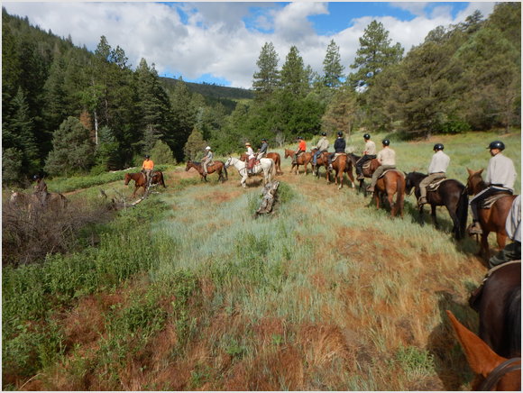 horse ride