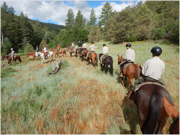 horse ride