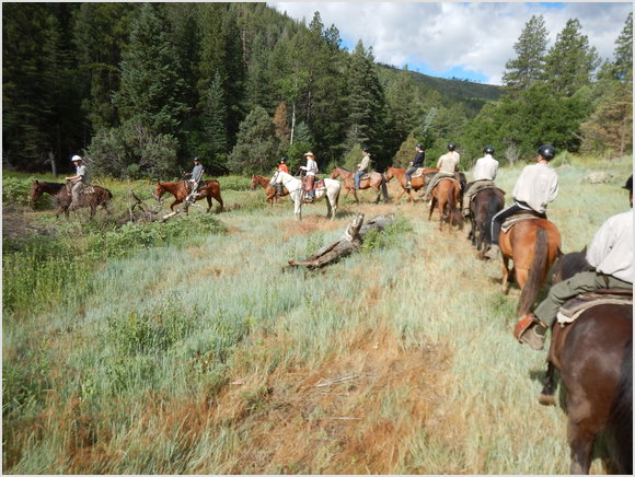 horse ride