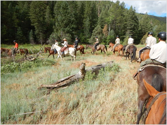 horse ride