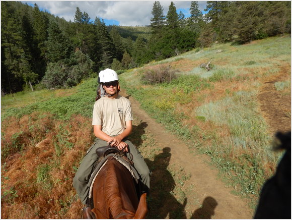 Luke tolerating horse ride